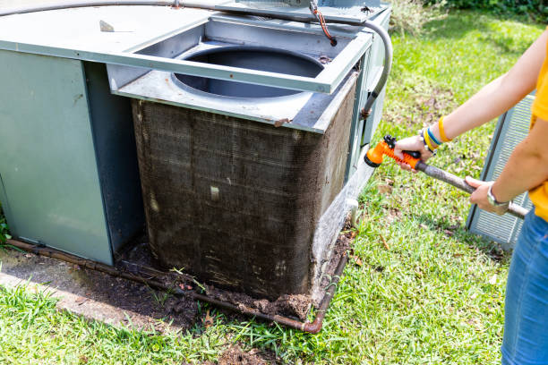 Air Duct Mold Removal in Golden Beach, MD